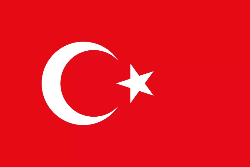 Türkçe